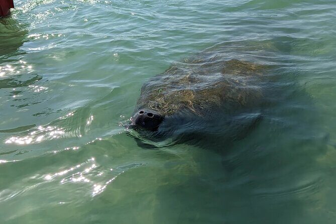 Private Half Day Boat Tour in Sarasota, Florida - Final Thoughts