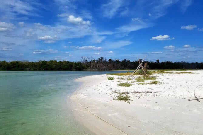 Private Half-Day Charter Tour in Naples, Florida - The Cost: Is It Worth It?