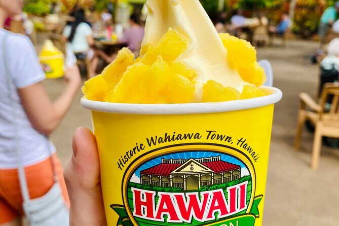 Private Half-Day Circle Island Highlights Tour in Oahu - A Friendly Look at the Private Half-Day Circle Island Highlights Tour in Oahu