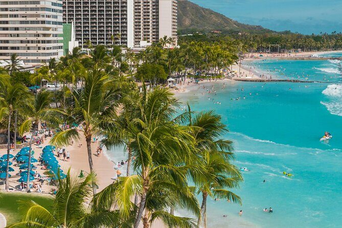 Private Half-Day Circle Island Highlights Tour in Oahu - What Do the Reviews Say?