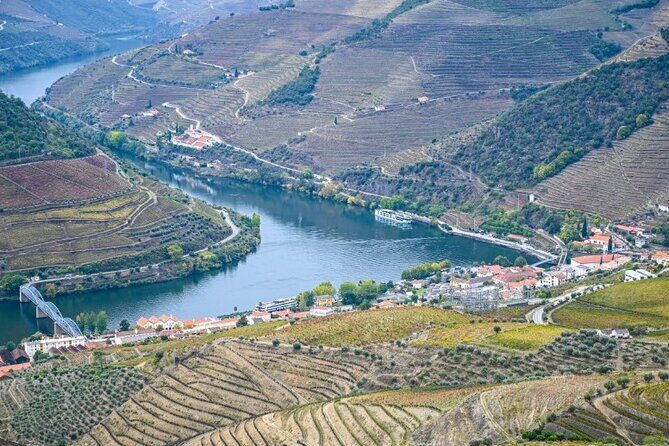Private Half-Day Douro Tour - In The Sum Up