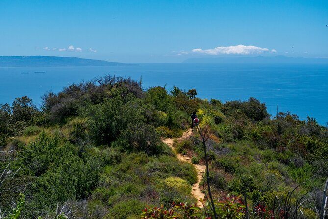 Private Half Day Hidden Hollywood Tour - What’s Included and What to Keep in Mind