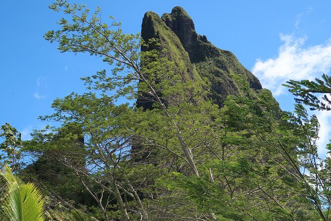 Private Half-Day Hike in the Opunohu Valley in Moorea - Additional Practical Details