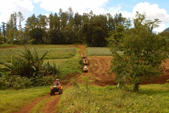 Private Half-Day Hike in the Opunohu Valley in Moorea - Who Should Consider This Tour?