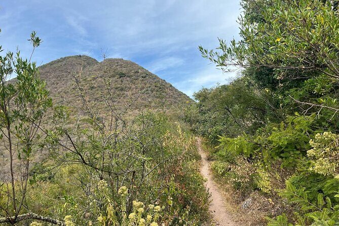 Private Half Day Hiking Experience in Picacho - Meeting Point and Logistics