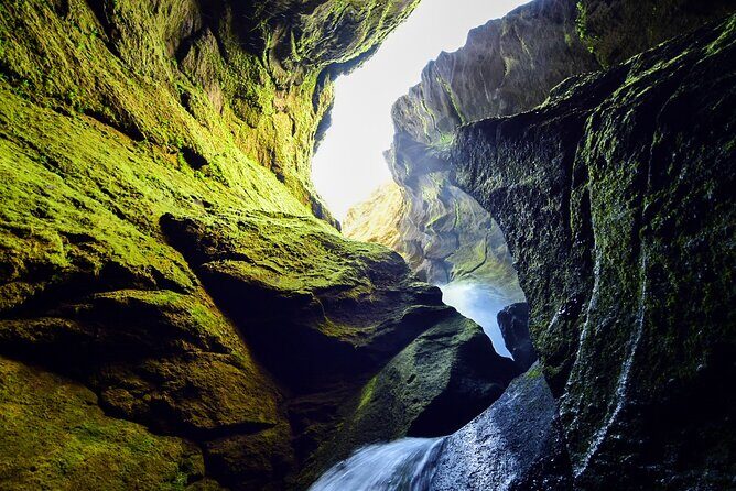 Private Half Day Iceland Tour with Guide and Vehicle - Real Traveler Feedback