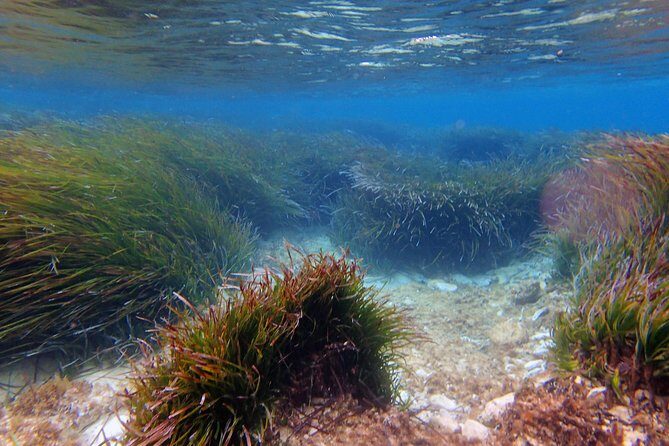 Private Half-Day Kayak Experience in Hvar and Pakleni Islands - Flexibility and Personalization