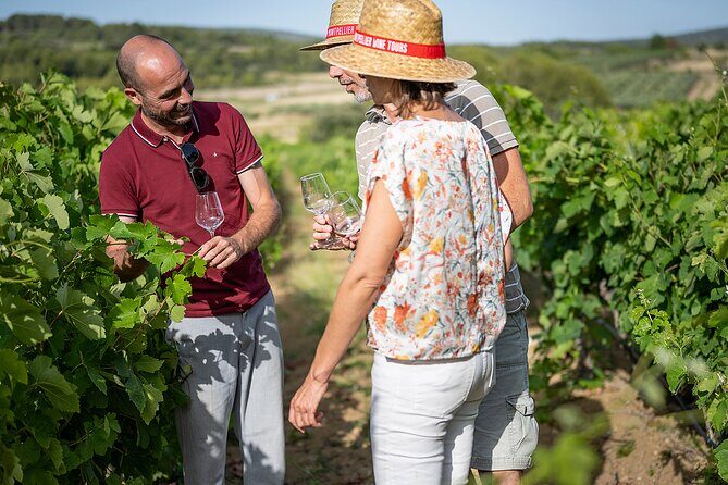 Private Half-Day Languedoc Wine Tour from Sète - What Makes This Tour Special