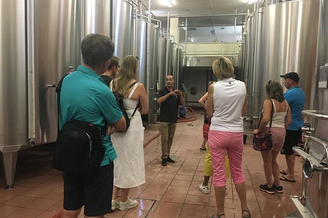 Private Half-Day Languedoc Wine Tour from Sète - Final Thoughts