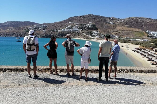 Private Half-Day Mykonos Insider Tour with Pick Up - What Travelers Say
