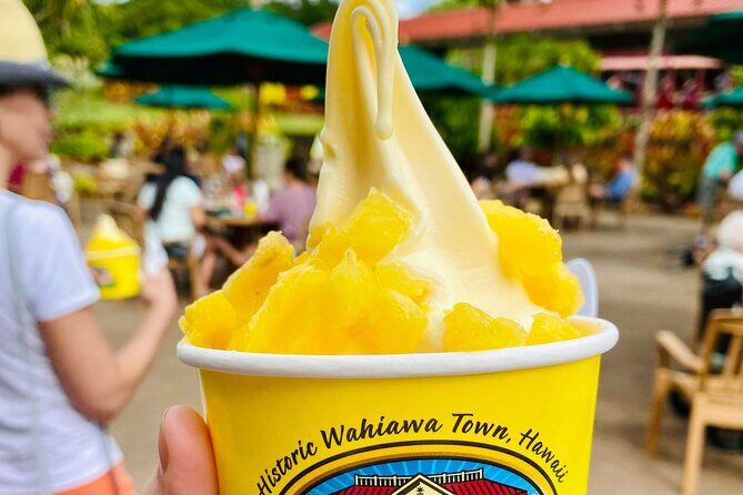 Private Half Day Oahu North Shore Anti-Tour - Who Should Consider This Tour?