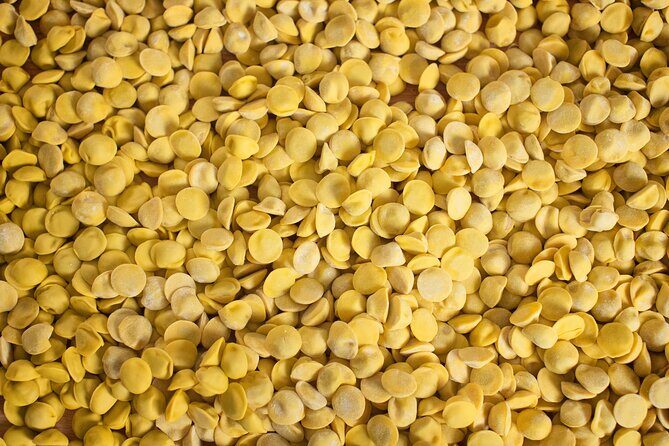 Private Half Day Parma Food Walking Tour - Authentic Reviews from Travelers