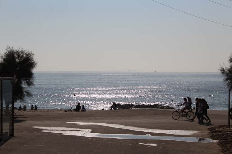 Private Half-Day Porto Tour By Car - Who Should Consider This Tour?