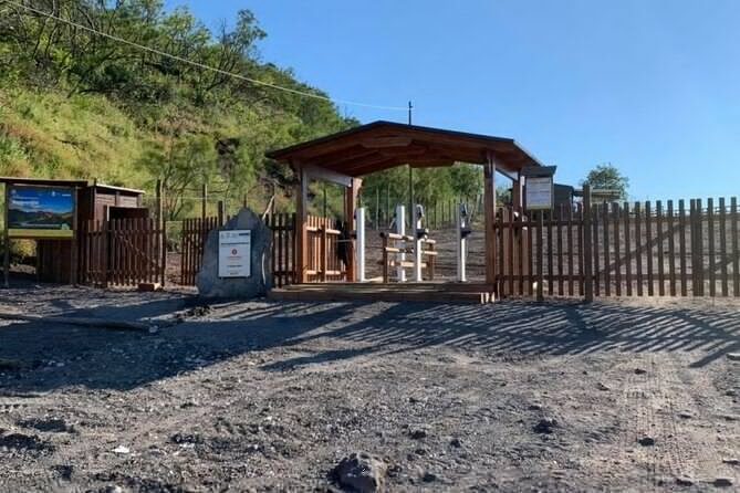 Private Half-Day Sightseeing Tour of Vesuvius National Park - The Experience at Vesuvius