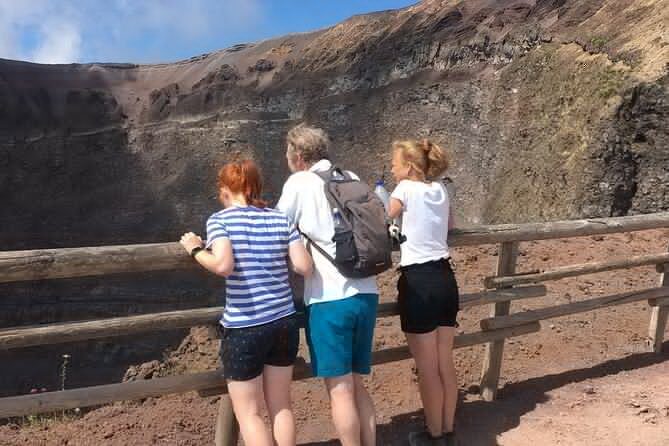 Private Half-Day Sightseeing Tour of Vesuvius National Park - What Do Past Travelers Say?