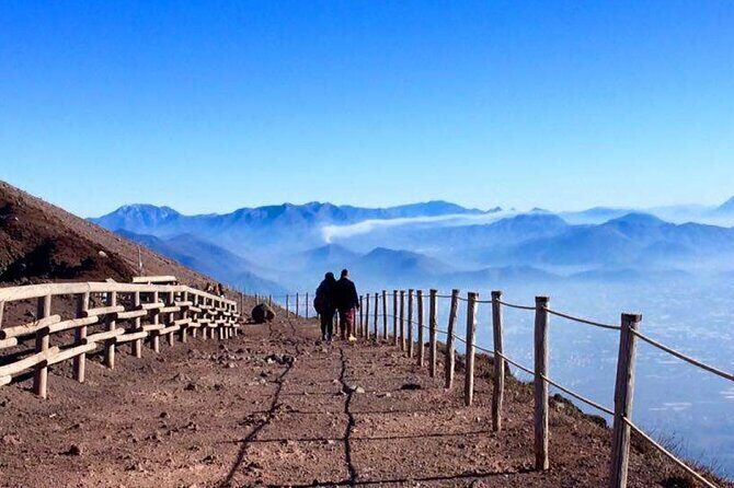 Private Half-Day Sightseeing Tour of Vesuvius National Park - The Sum Up