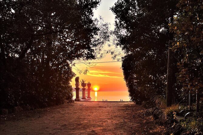 Private Half-Day Speedboat Guided Tour of Dubrovnik Islands - The Sum Up