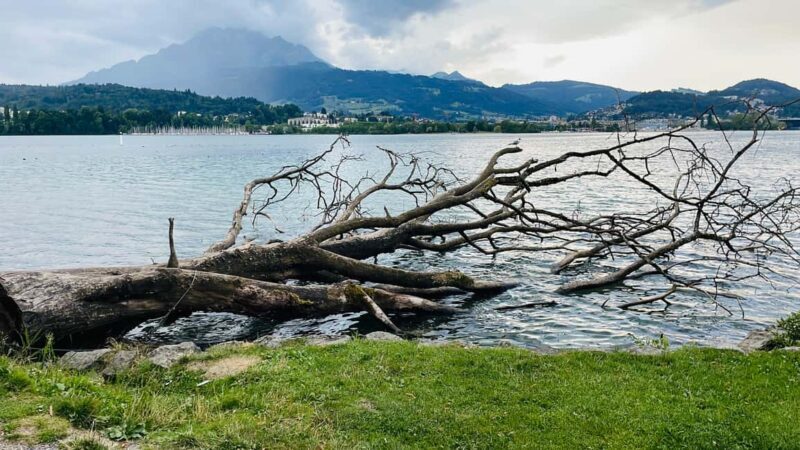 Private Half-Day tour around Lauterbrunnen and Grindelwald - Is It Worth It? Analyzing the Value