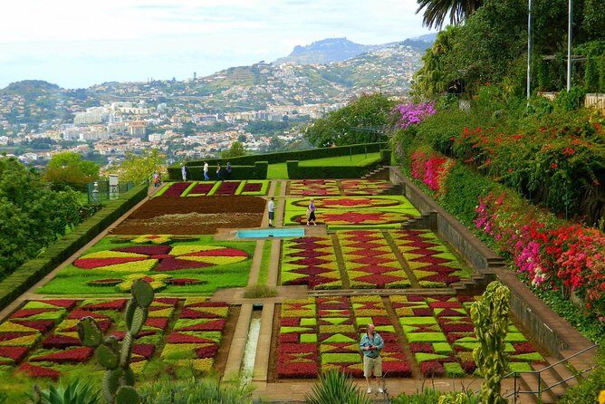 Private Half day tour around Madeira Island - An Honest Look at the Private Half-Day Madeira Tour