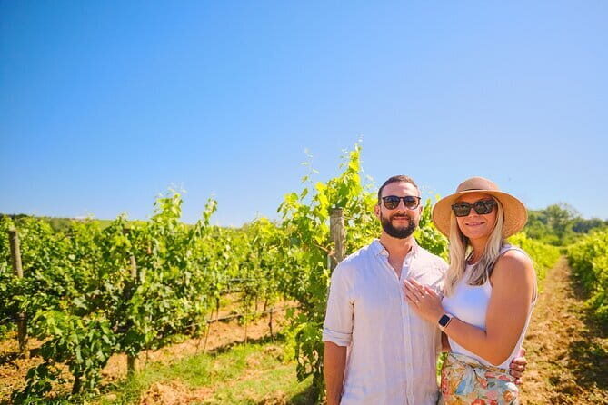 Private Half-Day Tour from Florence to Chianti Wine Region - A Deep Dive into the Tour Experience