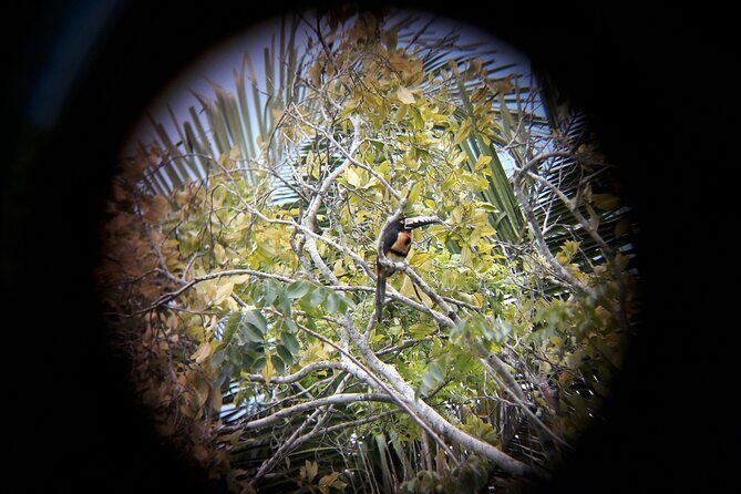 Private Half Day Tour in Kohunlich Archaeological Zone - Practical Considerations