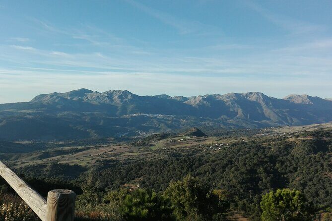 Private half-day tour of Ronda and the White Villages with native - The Sum Up