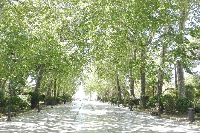 Private half-day tour of Ronda and the White Villages with native - FAQ