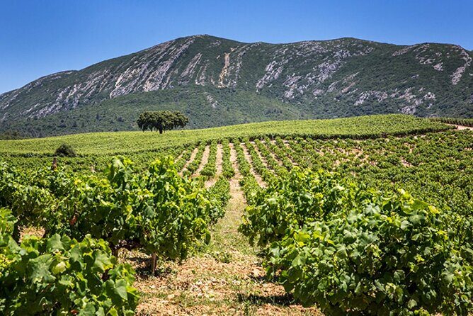 Private half-day tour of Sesimbra and Arrábida - Final Thoughts