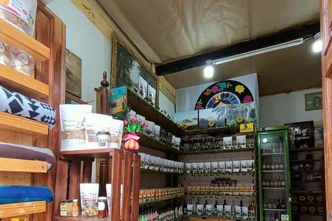 Private Half-Day Tour of Zacatlan and Chignahuapan from Puebla - Who Is This Tour Best For?