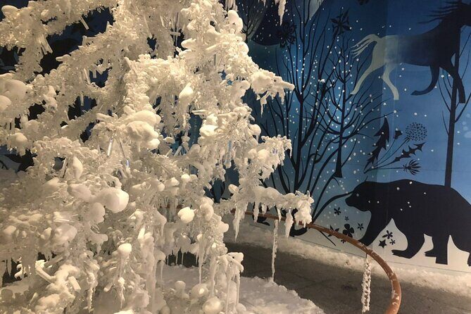 Private Half-day Tour to Swarovski Crystal World in Wattens - Final Thoughts