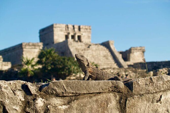 Private Half Day Tour to Tulum Temples and Downtown Shopping - The Cost and Value