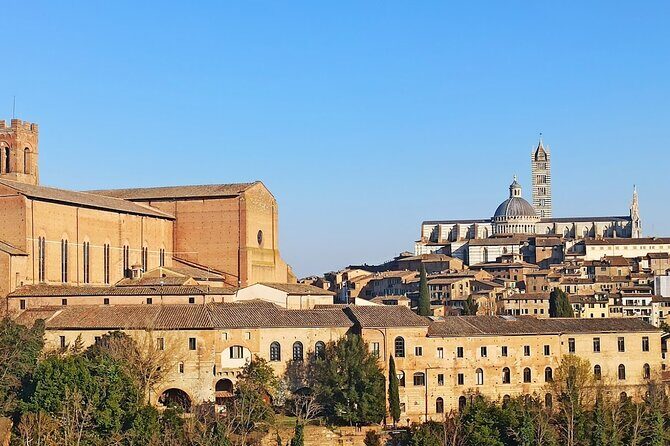 Private Half Day Tour: Visit Siena & Chianti Classic tour with Wine Experience - FAQ