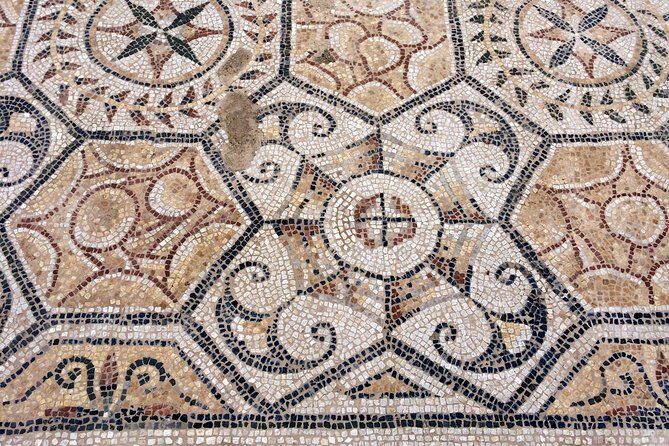 Private Half-Day Trip from Cagliari to Nora Ruins - The Role of a Knowledgeable Guide