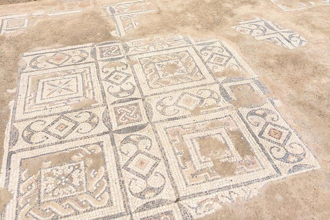 Private Half-Day Trip from Cagliari to Nora Ruins - Transport and Logistics: Why It Matters