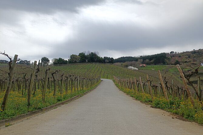 Private Half Day Txakoli Wine Tour & Getaria Fishing Village - Final Thoughts