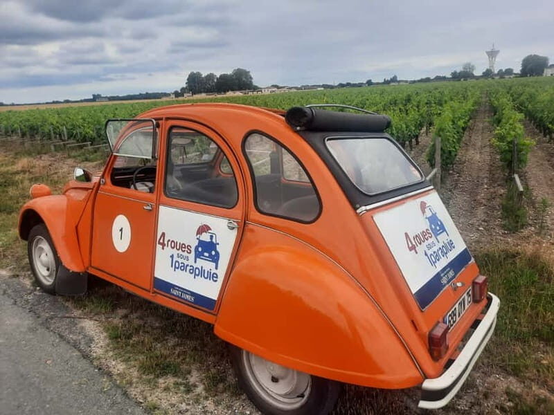 Private Half-Day Wine Tour in Citroën 2CV - Final Thoughts