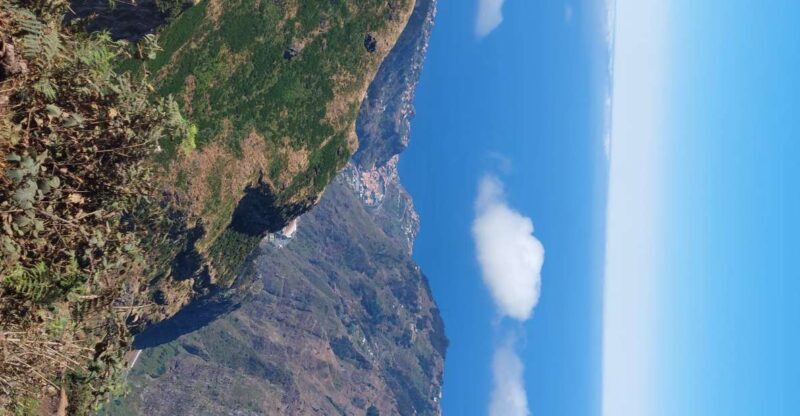 Private halfday & Eucalyptus forest Offroad - Why this tour appeals to travelers