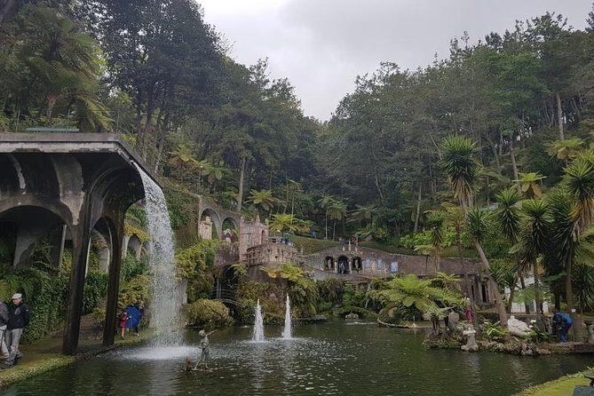Private Halfday Madeira Garden Tour - What to Expect from the Madeira Garden Tour