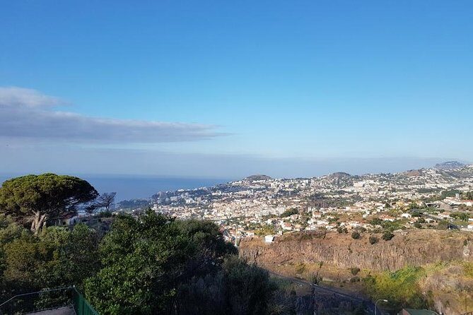 Private Halfday Madeira Garden Tour - In The Sum Up