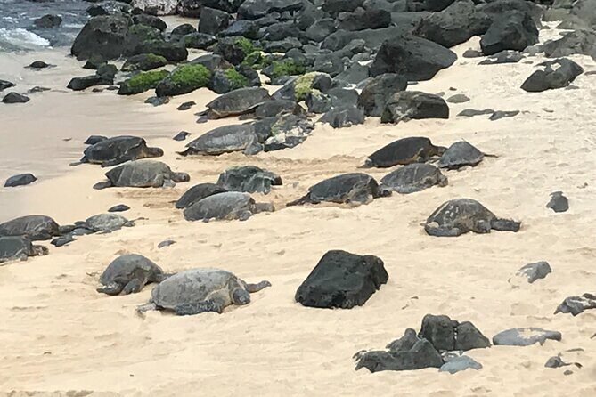 Private Halfway to Hana Tour - Key Points