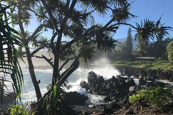 Private Halfway to Hana Tour - Authentic Insights from Travelers