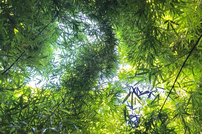 Private Halfway to Hana Tour - Final Thoughts