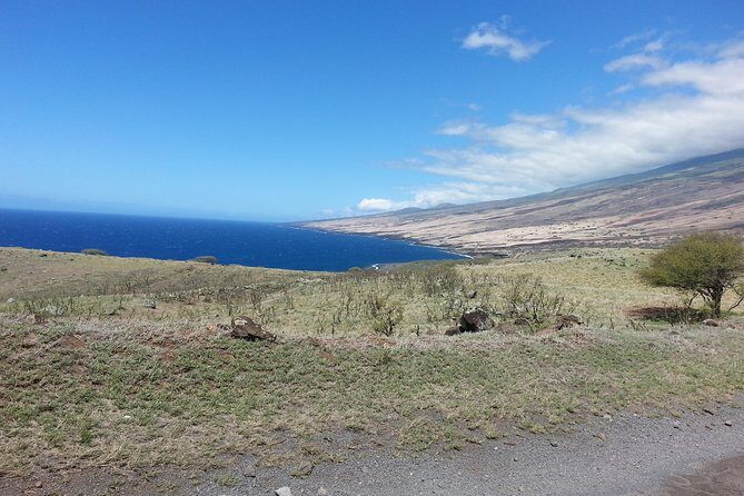 Private Hana, Ocean, Turtle Town, Winery Tour of Maui - What You Might Love