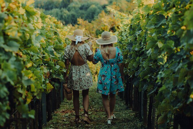 Private hedonistic food and wine experience from Zagreb - Key Points