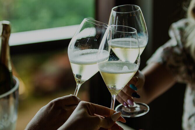 Private hedonistic food and wine experience from Zagreb - Final Thoughts