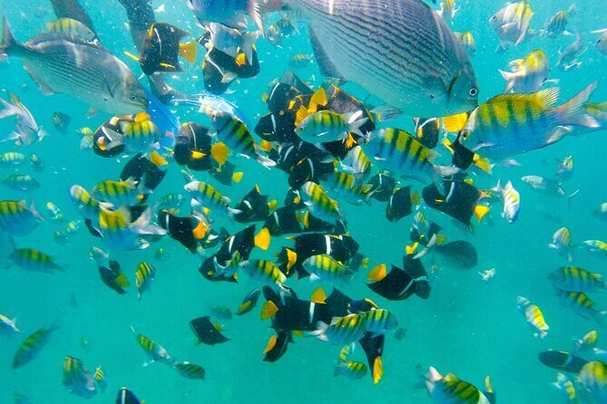 Private Hidden Beach from Punta de Mita - Final Thoughts