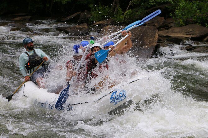 Private/High Adventure Whitewater Rafting Tour With Shore Snack - Who Will Love This Trip?
