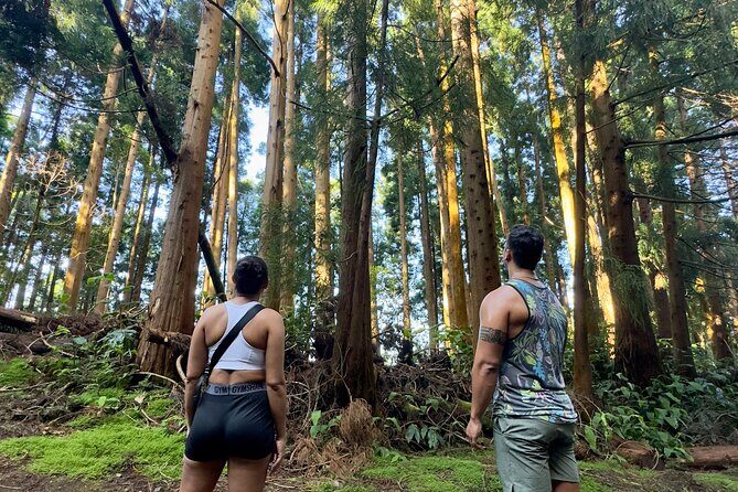 Private Hike - Discover São Miguels Craters, Lakes & Waterfalls - Final Thoughts