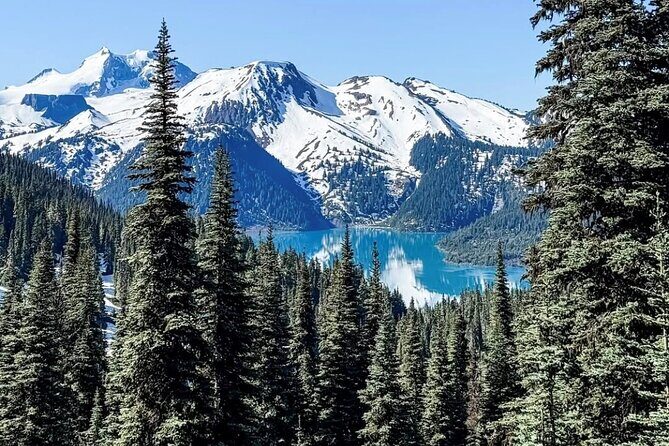 Private Hiking Day Tour of Garibaldi Lake Panorama Ridge - Why You Might Love This Tour