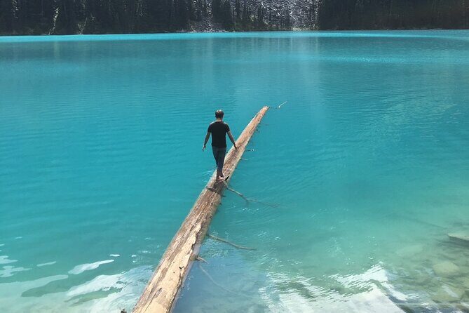 Private Hiking Day tour of Joffre Lakes Park - Who Should Consider This Tour?
